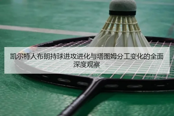 凯尔特人布朗持球进攻进化与塔图姆分工变化的全面深度观察