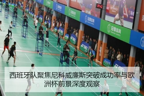 西班牙队聚焦尼科威廉斯突破成功率与欧洲杯前景深度观察